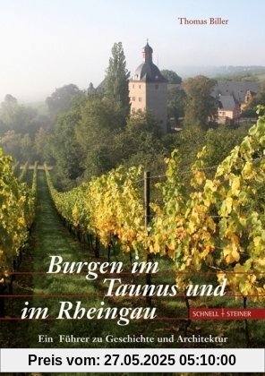 Burgen im Taunus und im Rheingau: Ein Führer zu Geschichte und Architektur