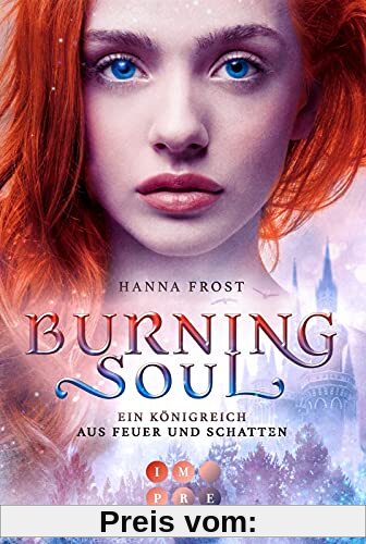 Burning Soul (Ein Königreich aus Feuer und Schatten 1): Berührende Romantasy über die verbotene Liebe zwischen einer Assassinin und einem Fae-Prinzen