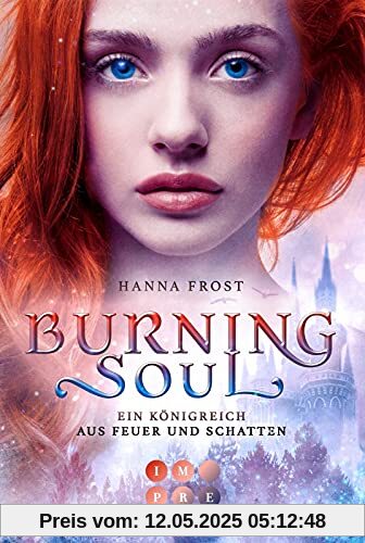 Burning Soul (Ein Königreich aus Feuer und Schatten 1): Berührende Romantasy über die verbotene Liebe zwischen einer Assassinin und einem Fae-Prinzen