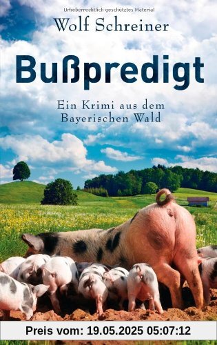 Bußpredigt: Ein Krimi aus dem Bayerischen Wald Bußpredigt: Ein Krimi aus dem Bayerischen Wald
