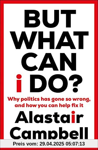 But What Can I Do?: Why Politics Has Gone So Wrong, and How You Can Help Fix It