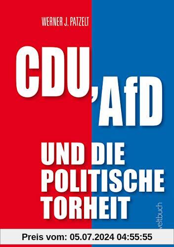 CDU, AfD und die politische Torheit.