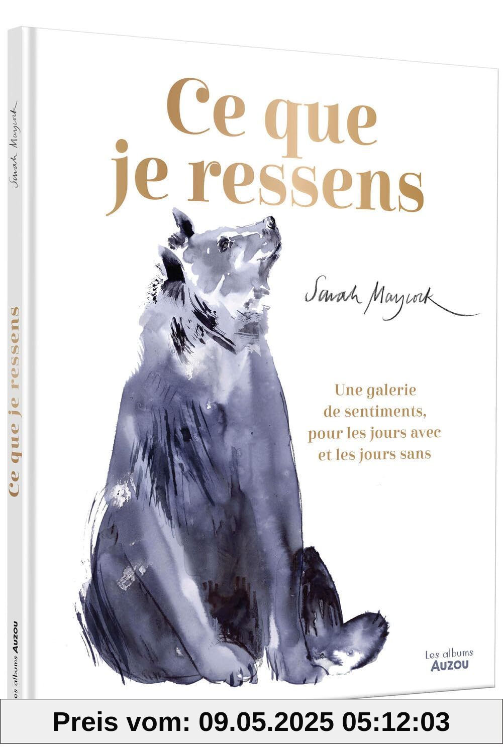 CE QUE JE RESSENS