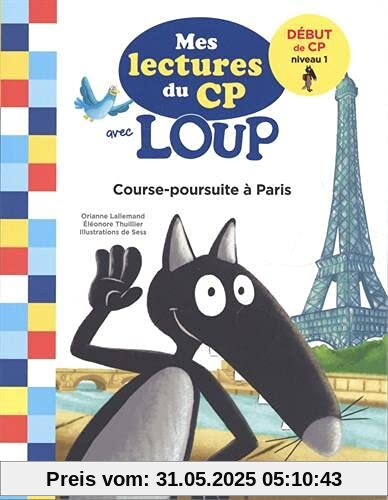 COURSE-POURSUITE A PARIS COURSE-POURSUITE A PARIS