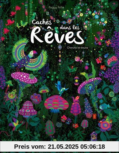 Cachés dans les rêves : Cherche et trouve