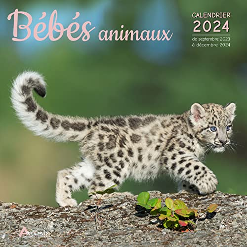 Calendrier Bébés animaux 2024: Calendrier de septembre 2023 à décembre 2024 von ARTEMIS