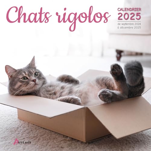 Calendrier Chats rigolos 2025: Calendrier de septembre 2024 à décembre 2025 von ARTEMIS