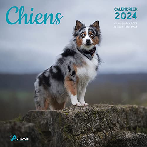 Calendrier Chiens 2024: Calendrier de septembre 2023 à décembre 2024