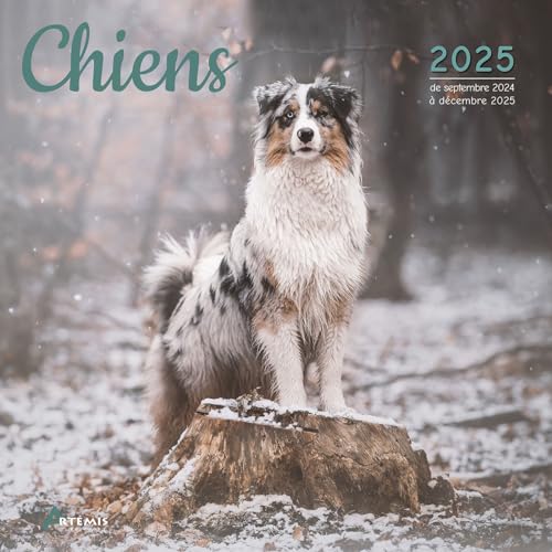 Calendrier Chiens 2025: Calendrier de septembre 2024 à décembre 2025 von ARTEMIS