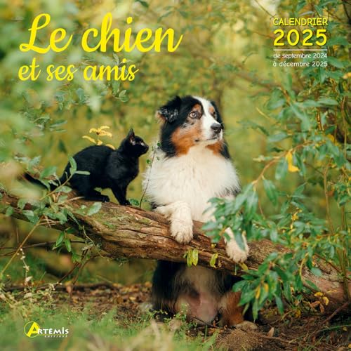 Calendrier Le chien et ses amis 2025: Calendrier de septembre 2024 à décembre 2025 Calendrier Le chien et ses amis 2025: Calendrier de septembre 2024 à décembre 2025 von ARTEMIS