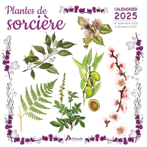 Calendrier Plantes de sorcière 2025: Calendrier de septembre 2024 à décembre 2025 Calendrier Plantes de sorcière 2025: Calendrier de septembre 2024 à décembre 2025 von ARTEMIS