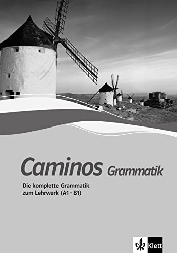 Caminos A1-B1: Spanisch als 3. Fremdsprache. Grammatik