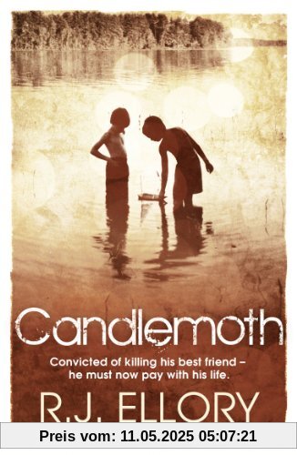 Candlemoth