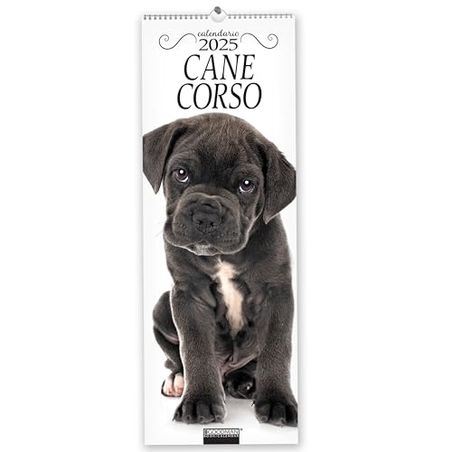 Cane corso. Calendario 2025. Long Cane corso. Calendario 2025. Long von Sprea Editori