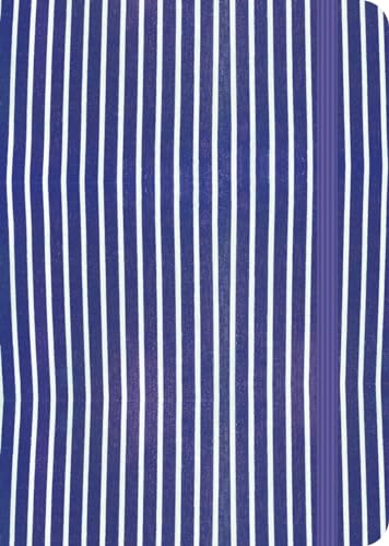 Carmyne's Journal: Blue stripes von Uitgeverij Karmijn