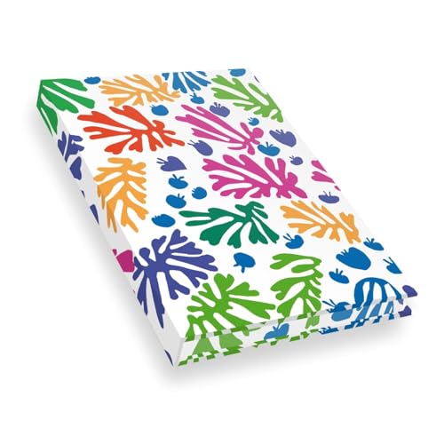 Carnet Hazan pleine toile. Matisse La perruche et la sirène von HAZAN