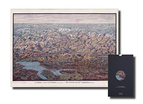 Carte - La Suisse à vol d'oiseau: 98 x 67,6 cm von RELIEFS