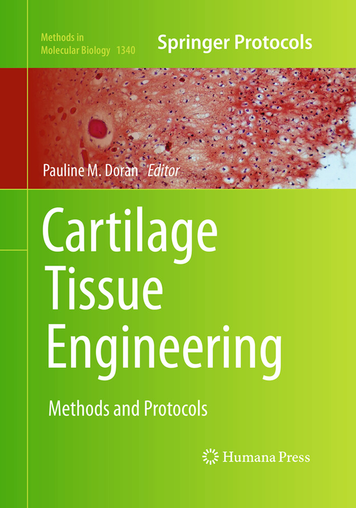 Cartilage Tissue Engineering von Springer New York