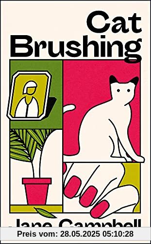 Cat Brushing: a dazzling short story collection about thirteen older women