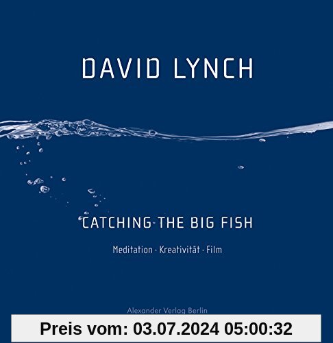 Catching the Big Fish: Meditation Kreativität Film