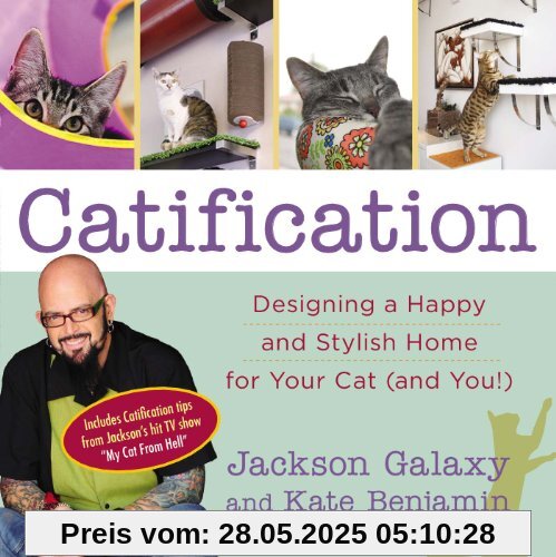 Catification: Designing a Happy and Stylish Home for Your Cat (and You!)