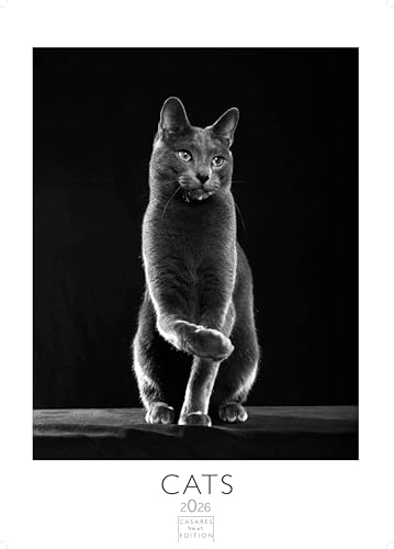 Cats 2025 L 59x42cm Cats 2025 L 59x42cm von CASARES EDITION
