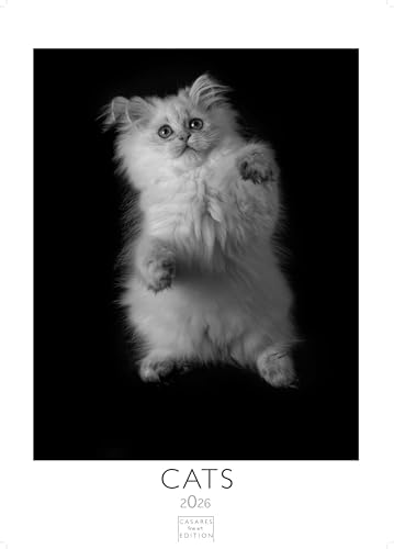Cats 2026 S 29x21cm von CASARES EDITION
