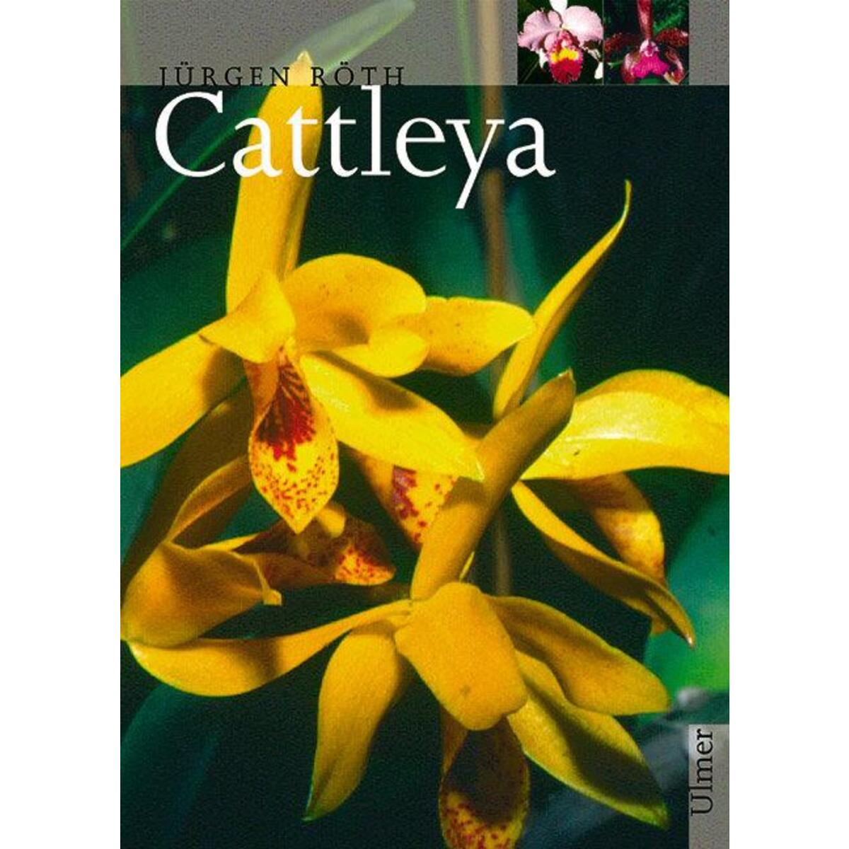 Cattleya von Ulmer Eugen Verlag
