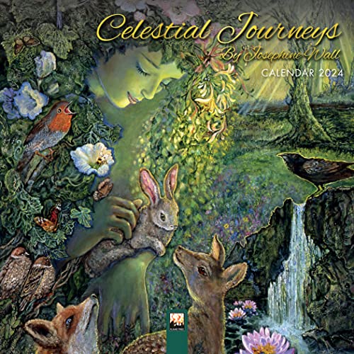 Celestial Journeys by Josephine 2024 Calendar von Flame Tree Publishing