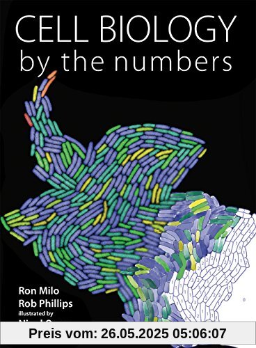 Cell Biology by the Numbers