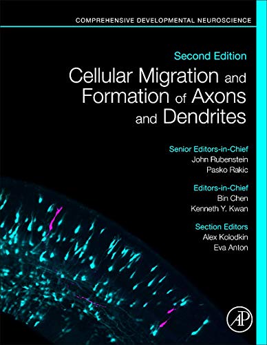 Cellular Migration and Formation of Axons and Dendrites: Comprehensive Developmental Neuroscience von Academic Press