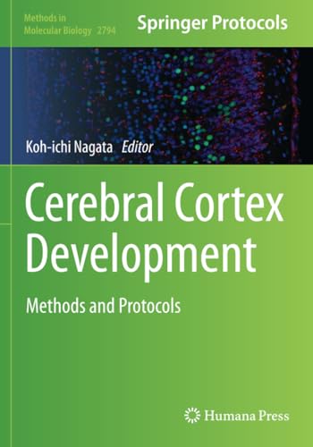 Cerebral Cortex Development: Methods and Protocols (Methods in Molecular Biology, Band 2794) von Humana