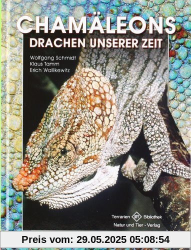 Chamäleons. Drachen unserer Zeit Chamäleons. Drachen unserer Zeit