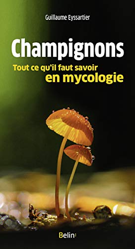 Champignons, tout ce qu'il faut savoir en mycologie