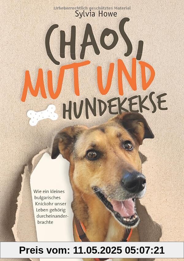 Chaos, Mut und Hundekekse: Wie ein kleines bulgarisches Knickohr unser Leben gehörig durcheinanderbrachte