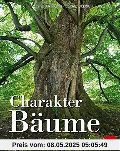 Charakter-Bäume: zwischen Küste & Alpen erleben