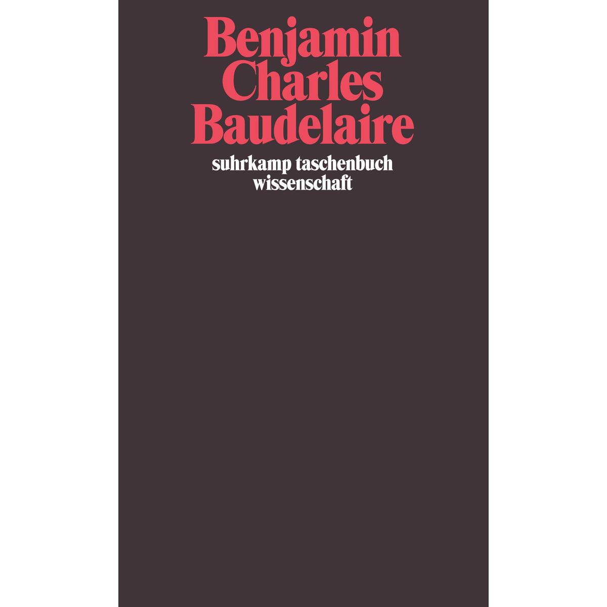 Charles Baudelaire Charles Baudelaire von Suhrkamp Verlag AG