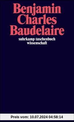 Charles Baudelaire: Ein Lyriker im Zeitalter des Hochkapitalismus (suhrkamp taschenbuch wissenschaft)