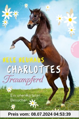 Charlottes Traumpferd, Band 3: Charlottes Traumpferd, Ein unerwarteter Besucher