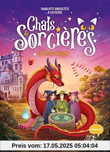 Chats & sorcières - Le puits magique