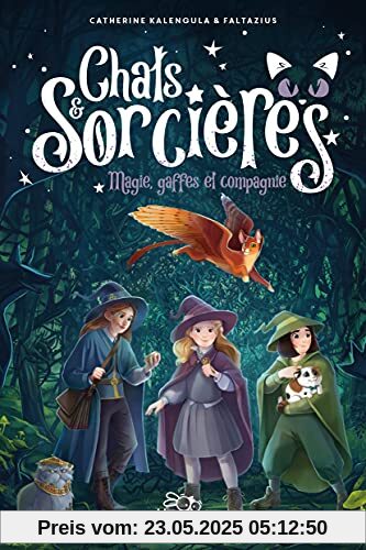 Chats & sorcières - Tome 1 - Magies, gaffes et compagnie, tome 1