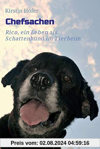 Chefsachen: Rico - ein Leben als Schattenhund im Tierheim