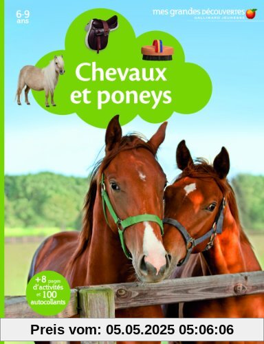 Chevaux et poneys
