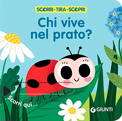 Chi vive nel prato? Scorri, tira e scopri. Ediz. a colori von Giunti Editore