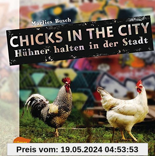 Chicks in the City: Hühner halten in der Stadt