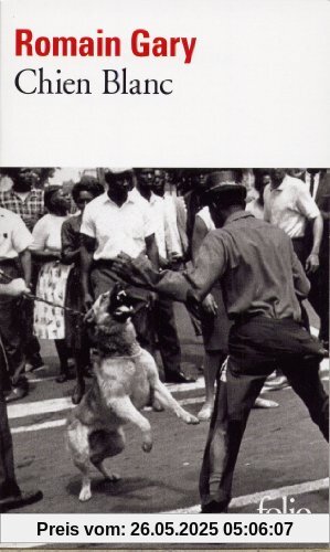 Chien blanc (Folio)