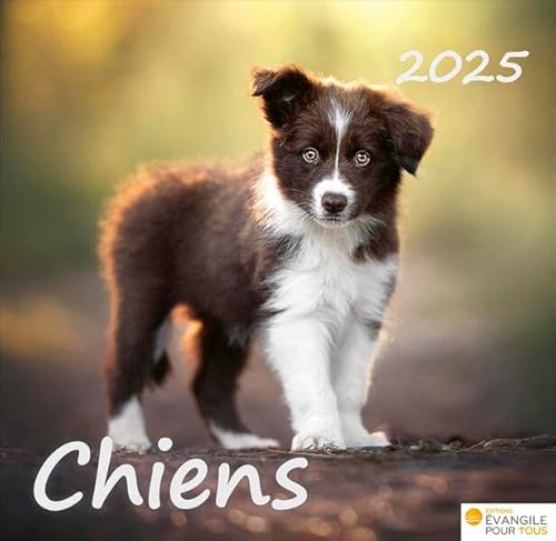 Chiens 2026 von Bolanz