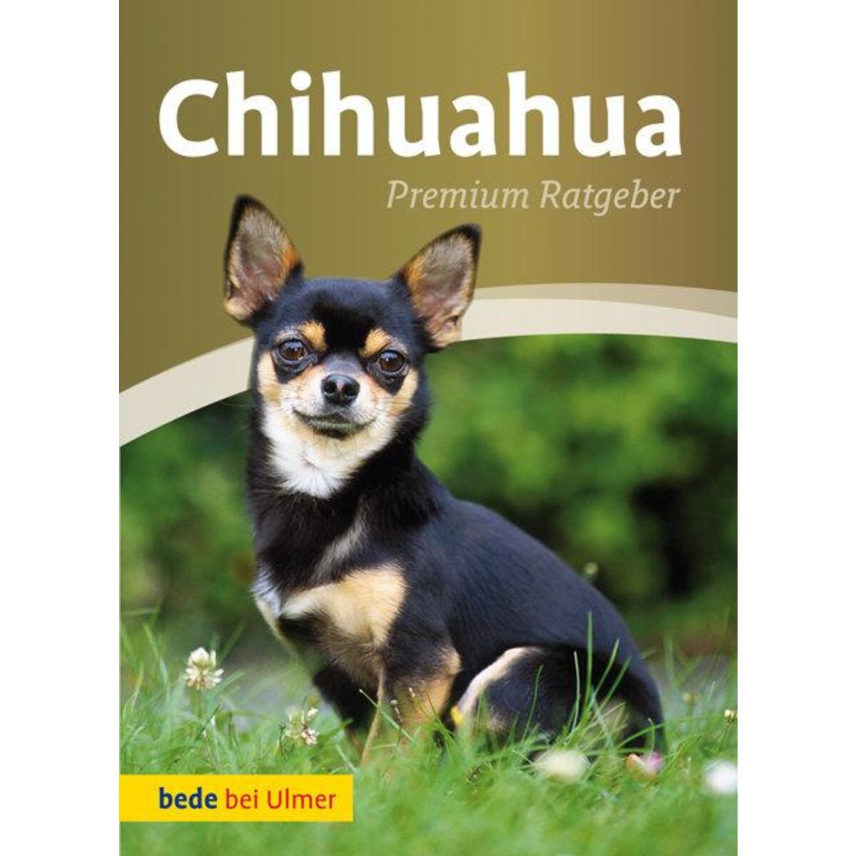 Chihuahua von Ulmer Eugen Verlag
