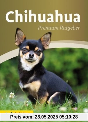 Chihuahua: Premium Ratgeber