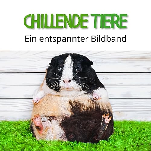 Chillende Tiere: Ein entspannter Bildband von 27 Amigos